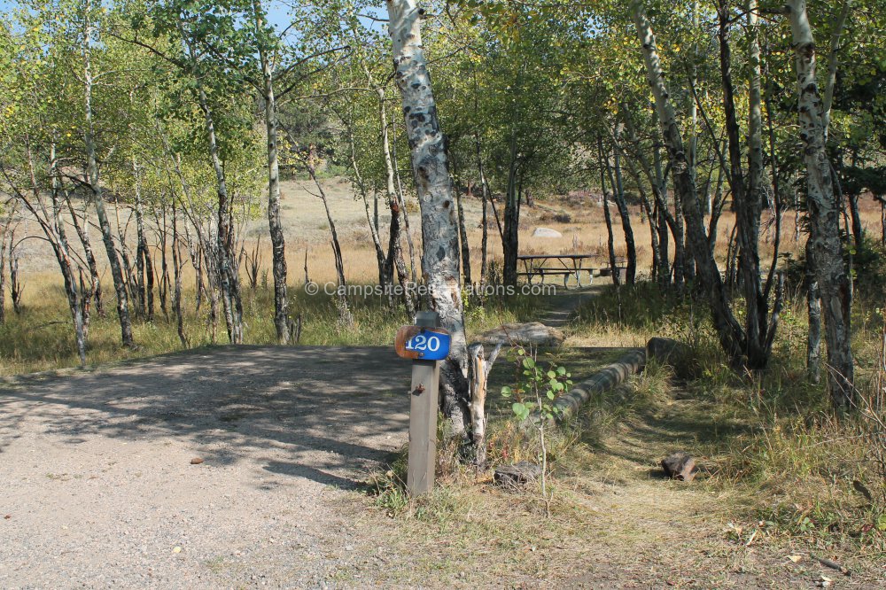 Campsite 120 in Moraine Park Campground at Rocky Mountain National Park